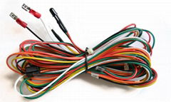 decorative lighting wire harness