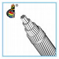 AA8030 Aluminum power cable 2