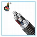 XLPE insulated interlocked aluminum alloy armor type metal clad Cable/MC Cable