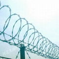 Razor Barbed Wire 3