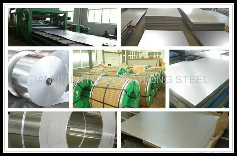 2b Stainless Steel Coil/Sheet (304/316)