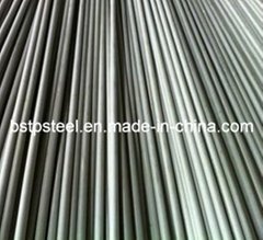 Small Size Stainless Steel Seamless (SMLS) Tube or Pipe