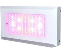 300W LED GROW LIGHT