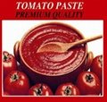 Tomato Paste Brix 28-30%