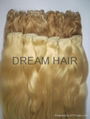 Double Drawn Machine Weft Colored Hair