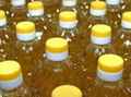 Sunflower oil 1