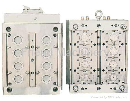 Injection mold and blowing mold 5