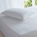 Waterproof Mattress Protector (DPH6197)