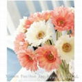 Artificial Flower-Gerbera 1