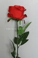 Artificial Rose 1