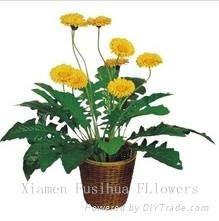 Wholesale Artificial Flowers