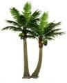  Fake Artificial Coconut Tree