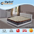 standard style used hotel mattresses