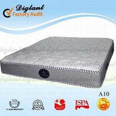 soft removable floor mattress (A10-PM25)
