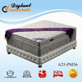 36cm special hot sleepwell mattress
