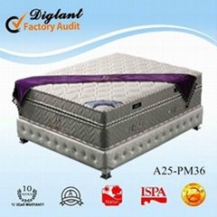 36cm special hot sleepwell mattress (A25-PM36)