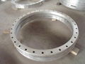 ANSI standard flange