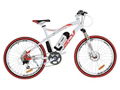 Electric bike US$820 -Li-ion battery -CE