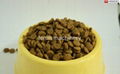 dog food making machine 3