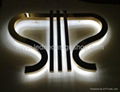 Backlit stainless steel letter