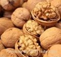 high quality walnuts