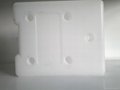 ice box for food storage and cold chain 5