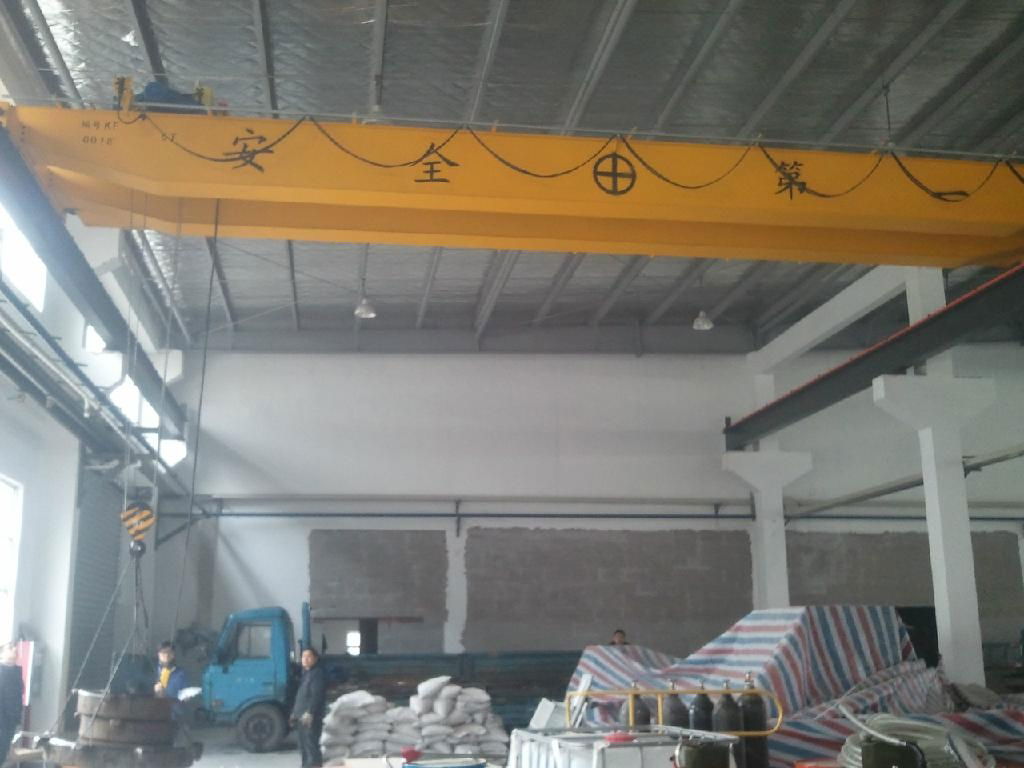  LH Electric Hoist Bridge Crane 2