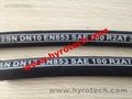 hydraulic hose SAE 100R2AT/DIN EN853 2SN