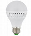 Olang LED Bulb 1