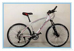 New BMW Aluminum Alloy Mountain Bike