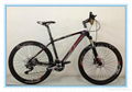 New Popurlar Carbon Mountian Bike