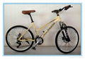 20 Inch Mountian Bike for girl