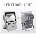 LED Flood Light