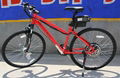 26' Electric Bicycle