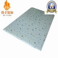 200X8mm South Africa PVC Ceiling Panel