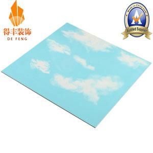 PVC Panel for Wall / Ceiling (DF-0052) 5