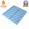 PVC Panel for Wall / Ceiling (DF-0040) 2