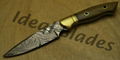 Custom Hand made damascus hunting knife 1