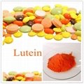 lutein powder 1