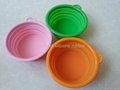 Silicone travel foldable pet bowl 2