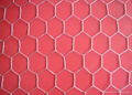 Hexagonal wire mesh 1