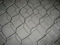 Hexagonal wire mesh 2