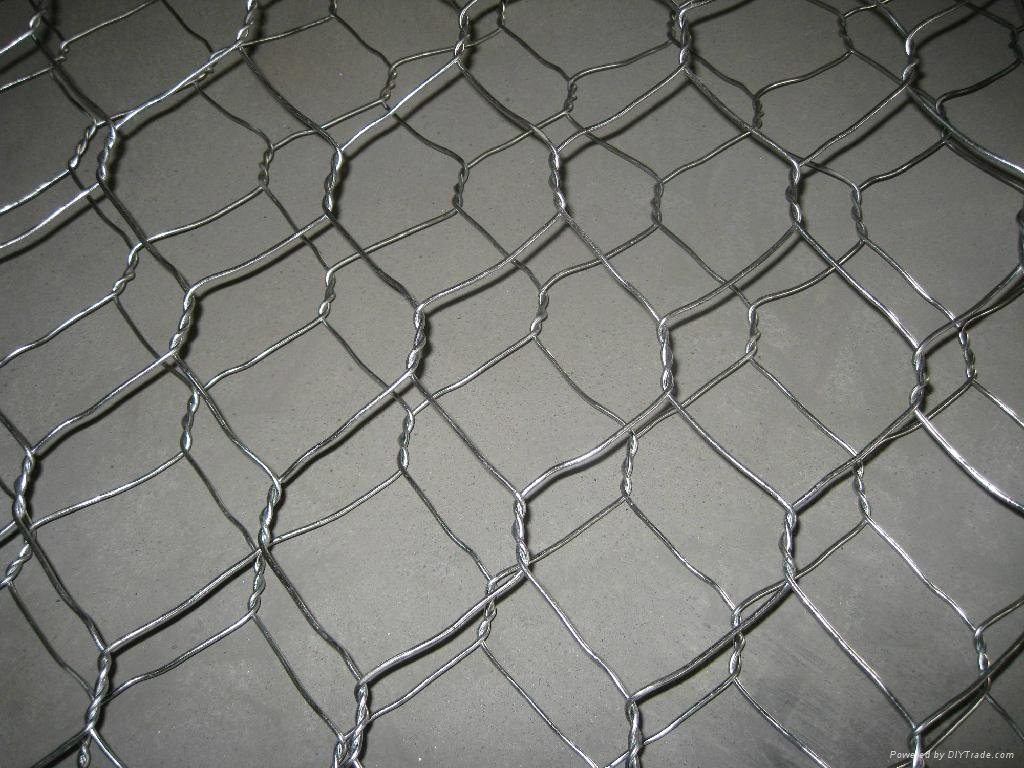 Hexagonal wire mesh 2
