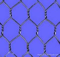 Hexagonal wire mesh 3