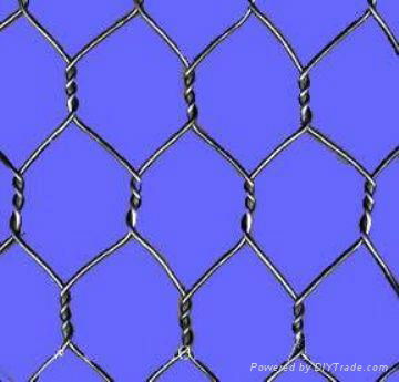Hexagonal wire mesh 3
