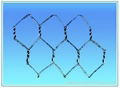 Hexagonal wire mesh 5