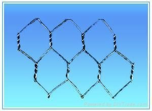 Hexagonal wire mesh 5
