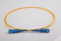 Fiber Optic Patch Cord