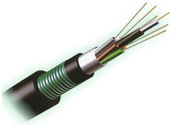 Fiber Optic Cable 3
