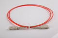 SC Fiber Optic Patch Cord  3